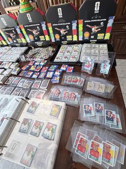 20 panini stickers World Cup