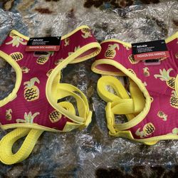 Pineapple Dog Harness Set Size M