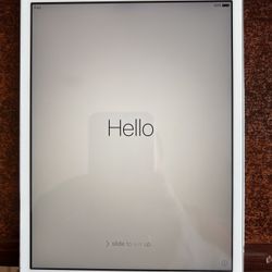 iPad Mini! Sold As Is For Parts! 