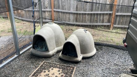 Dog House . Dogloo , Indigo .