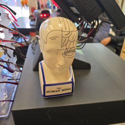 The Human Mind Ceramic Phrenology Brain Map Diagram Head Bank EUC