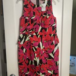 Brand New Kate Spade Dress