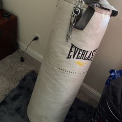 EverLast puniching bag 