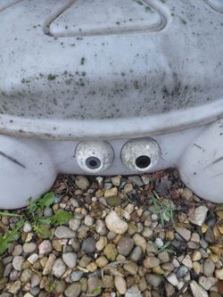 Free "Ghost Crab" Sand Box