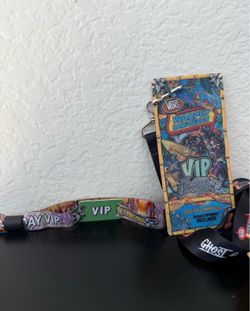 Vans warped tour vip 2 day