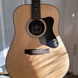 Acoustic Guitar 