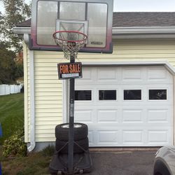 Lifetime Basketball Hoop
