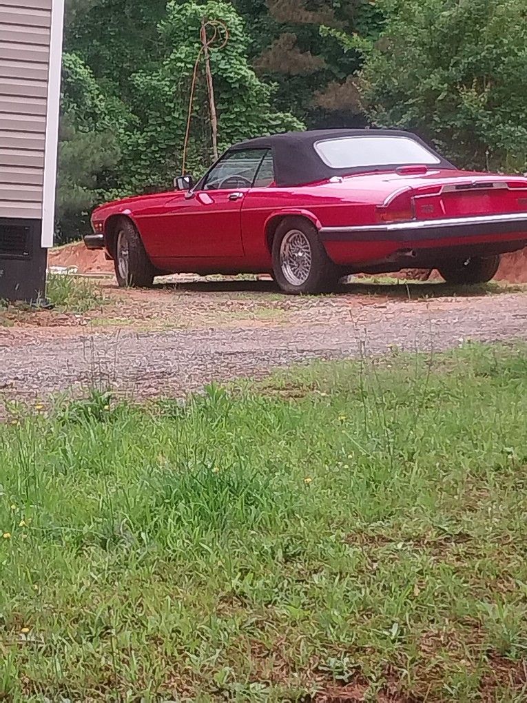 Jaguar