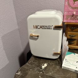 Mini Fridge For Makeup