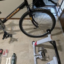 Cannondale "beast from the east"