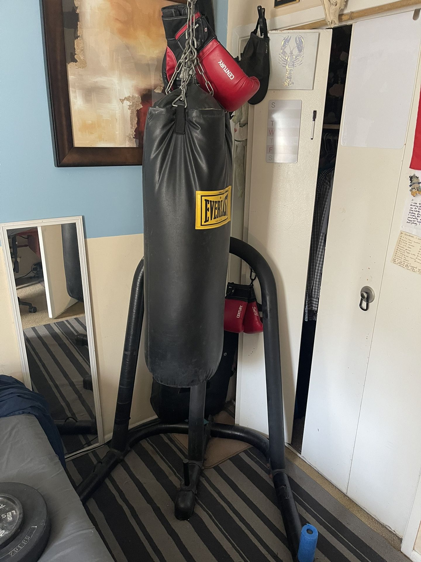 Everlast Boxing Bag W/ Stand and Gloves
