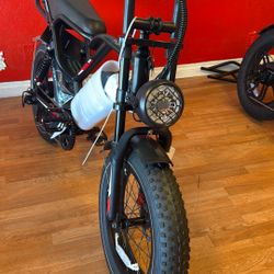 1000 W Brand New Electric Bike