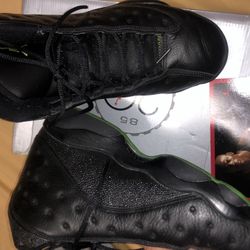 Jordan 2005 altitude 13's size 9.5.