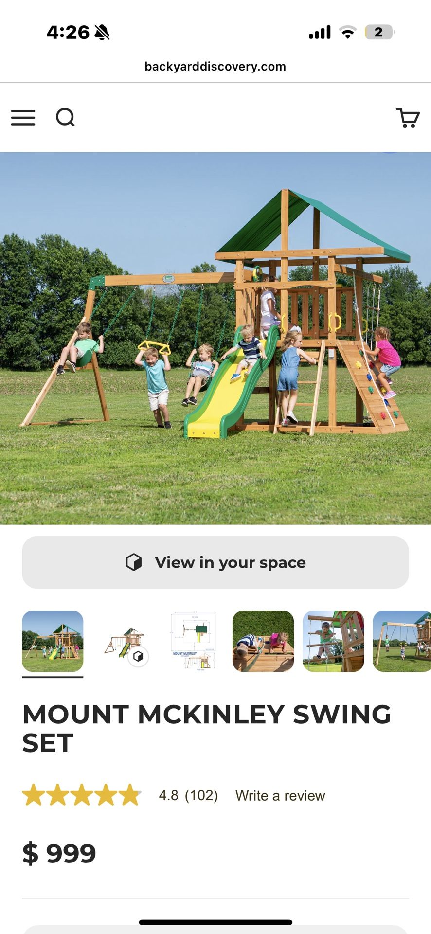 Backyard Swing Set 