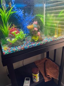 20 gallon fish tank with stand and filter