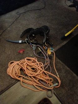 Petzl Sequoia Tree Climbing Set Up