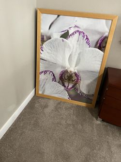 Picture frame