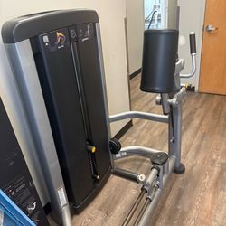 Life Fitness Pin-loaded Glute Kickback Machine