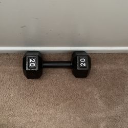 20 lb. Dumbbell Weight