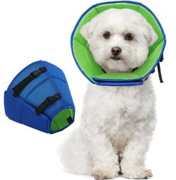 New Dog Cone