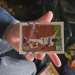 Fernando Tatis Jr SP