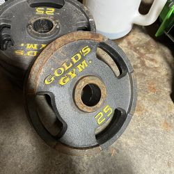 Golds Gym Complete Set Of Plates And Curl Bar