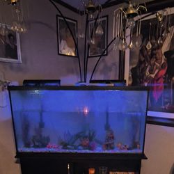 55 Gallon Aquarium For Sale