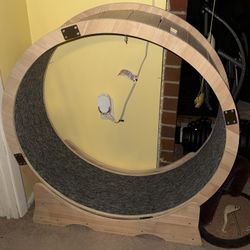 Cat Wheel