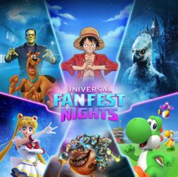 Universal Fan Fest ticket