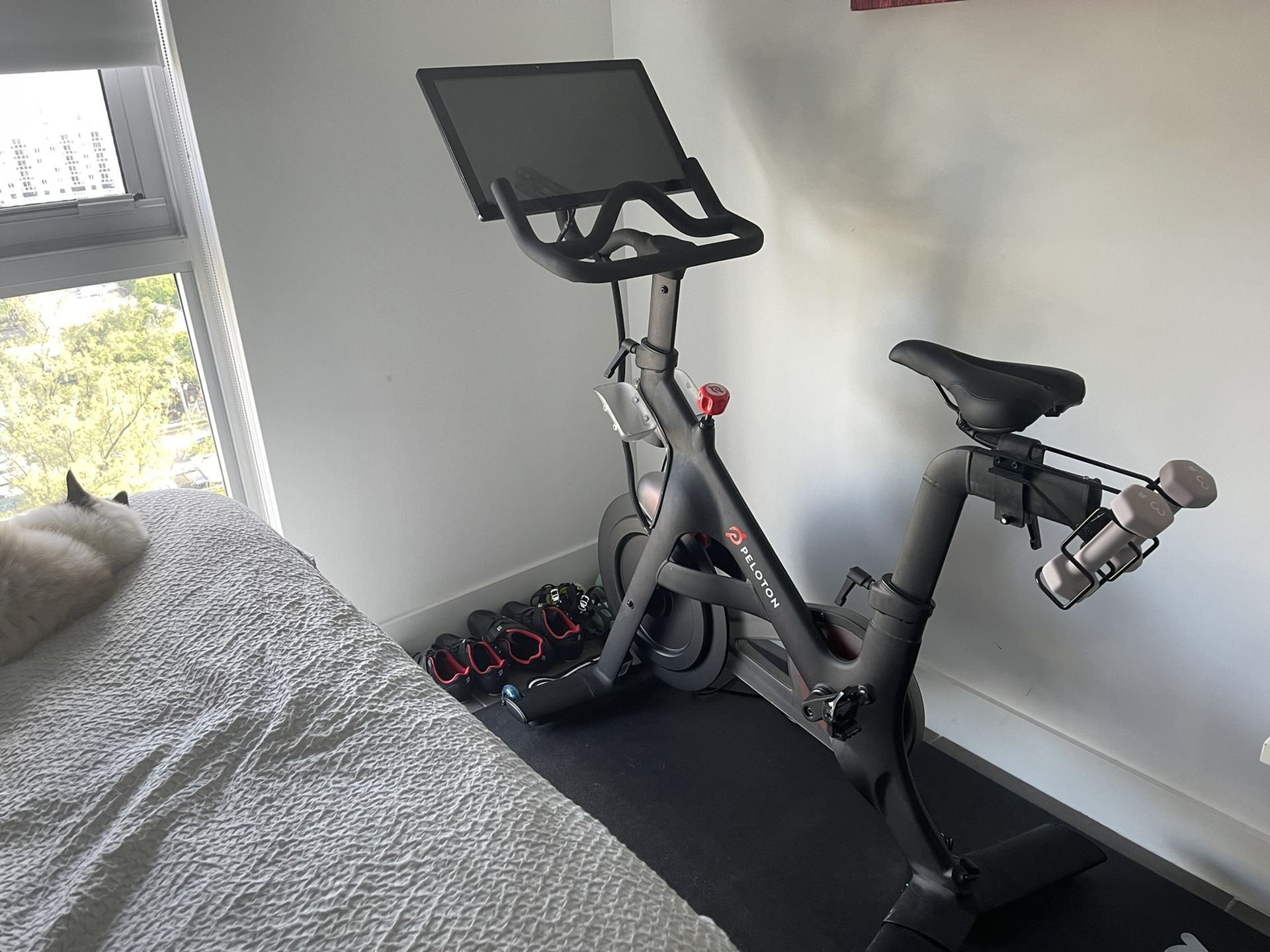 Peloton 2020 Bike Litely Used - RB1VO Model