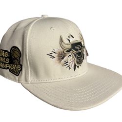 Chicago Bulls Pro Standard Roses 6x FINALS Snapback Hat  - OSFA