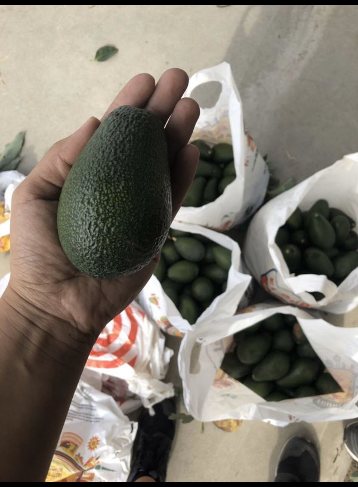 Avocados