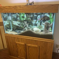 90 Gallon Fish Tank With Stand Plus Equipment 