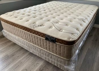 King Organic Cloud Edition Europillow Top 12inch Matres!!