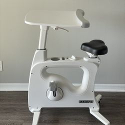 Flexspot All-In-One Desk Bike: Ergonomic Exercise Solution