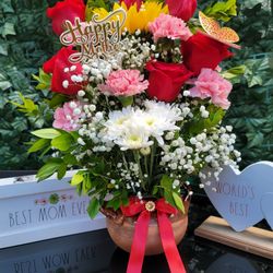 Mother's Day Gifts 🎁 
