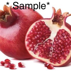 Red Ruby Pomegranate Fruit Tree Plant 