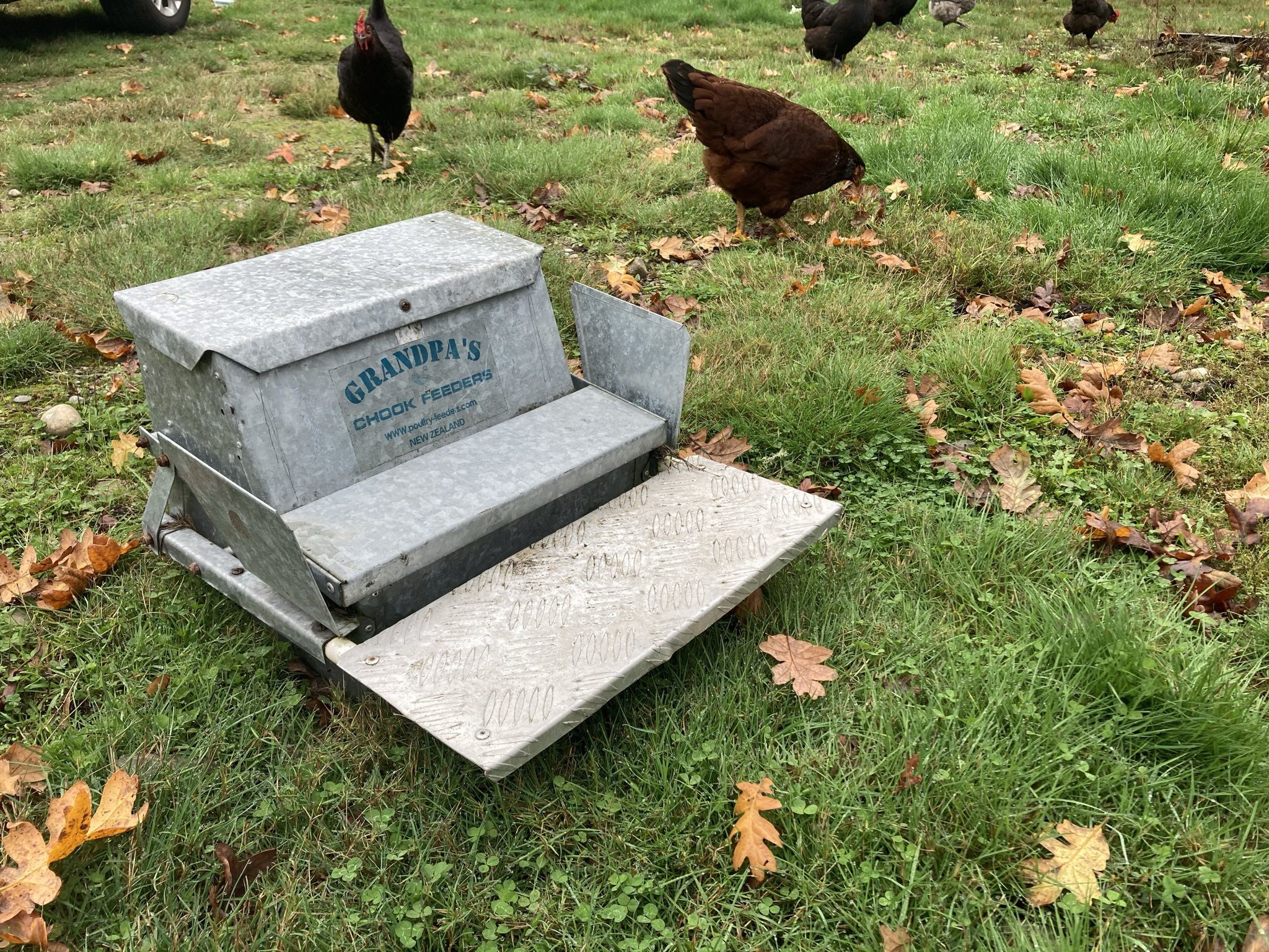 Chicken Feeder-Self Opening