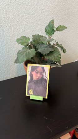 Winter Photo Card