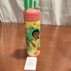 BOTELLA DISNEY PARKS KIDS TERMICA TIANA’S Details on the face  Details in photos
