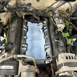 Intake Manifold Gasket