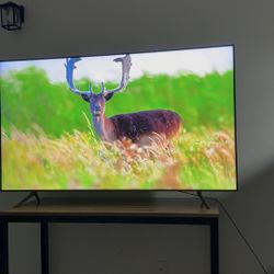 Delivery 75in Samsung Smart Tv 4k