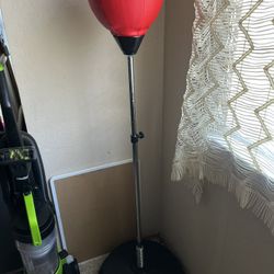 Punching Bag With Stand 