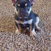 Emiliano