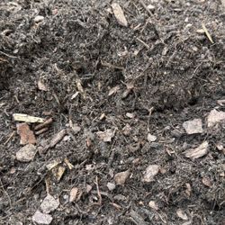 Potting Soil - Bag