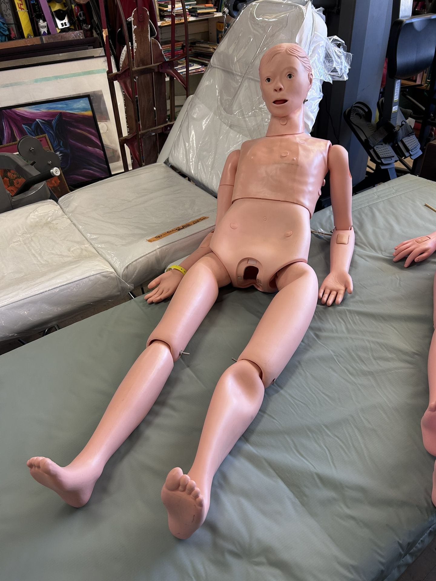 5 Ft Life-Size Male Nursing Manikin Model - VEVOR Multifunctional Clinical Training Simulator