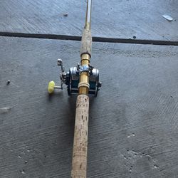 Eagle Claw Wright & Mcgill Rod With Penn Reel
