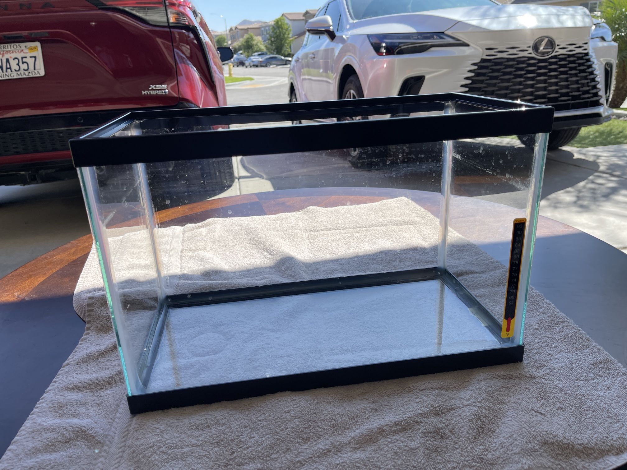 5 Gallon Fish Tank