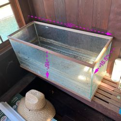 PECERA GRATIS! GRATIS!