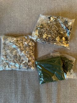 Seashell & Moss Craft Supply Lot